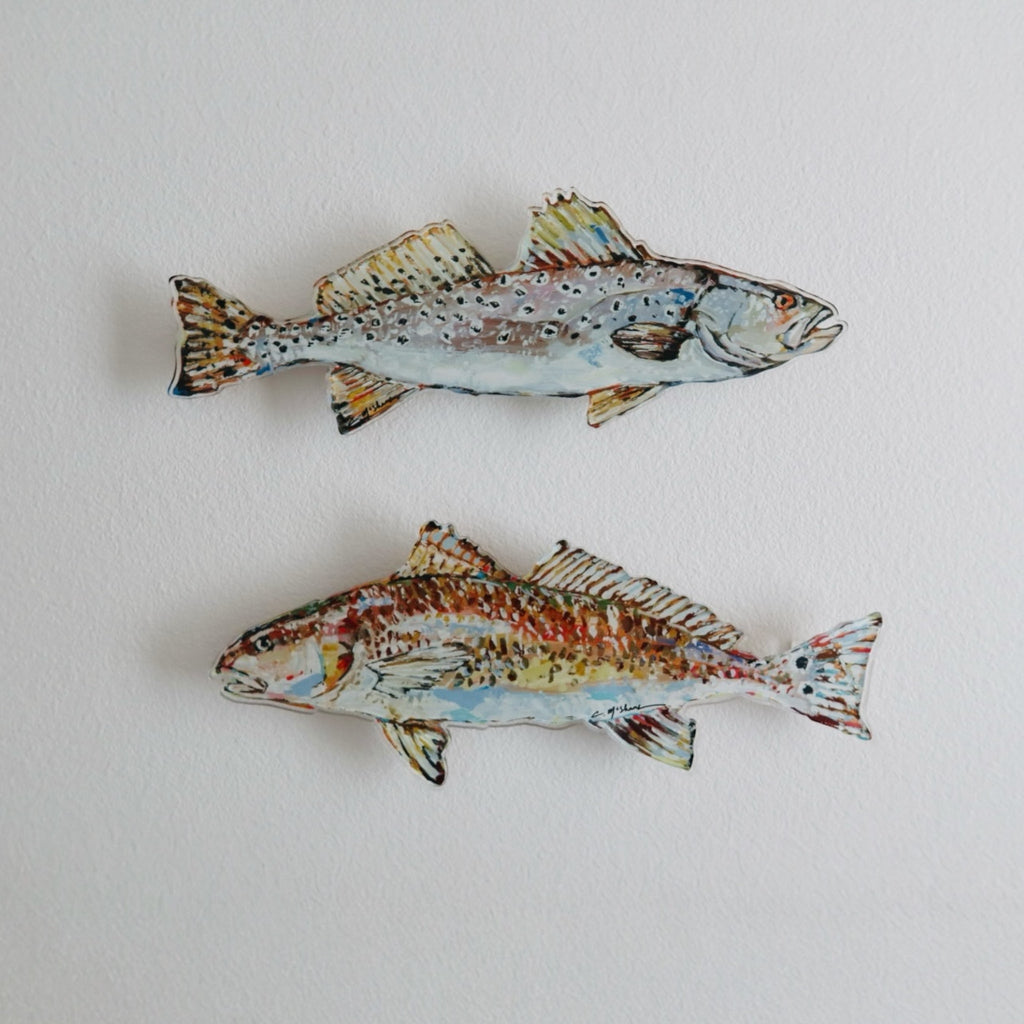 Speckled Sea Trout Acrylic Wall Contour