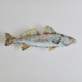 Speckled Sea Trout Acrylic Wall Contour