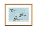 Pheasantly Surpised Pheasant Fine Art Print