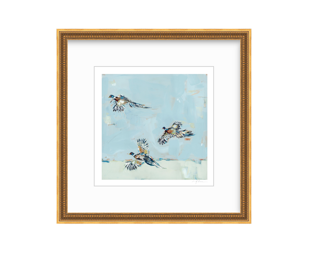 Pheasantly Surpised Pheasant Fine Art Print